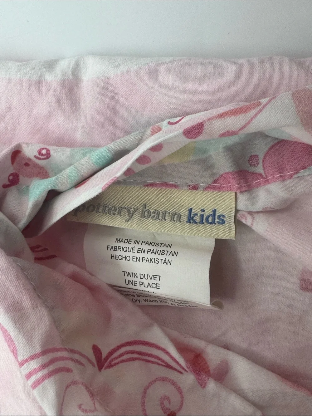 Pottery Barn Kids Paisley Print Twin Duvet Cover and Matching Sham